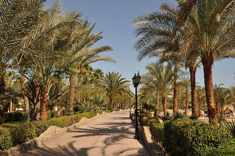 Promenade Naama Bay Charm el Cheikh